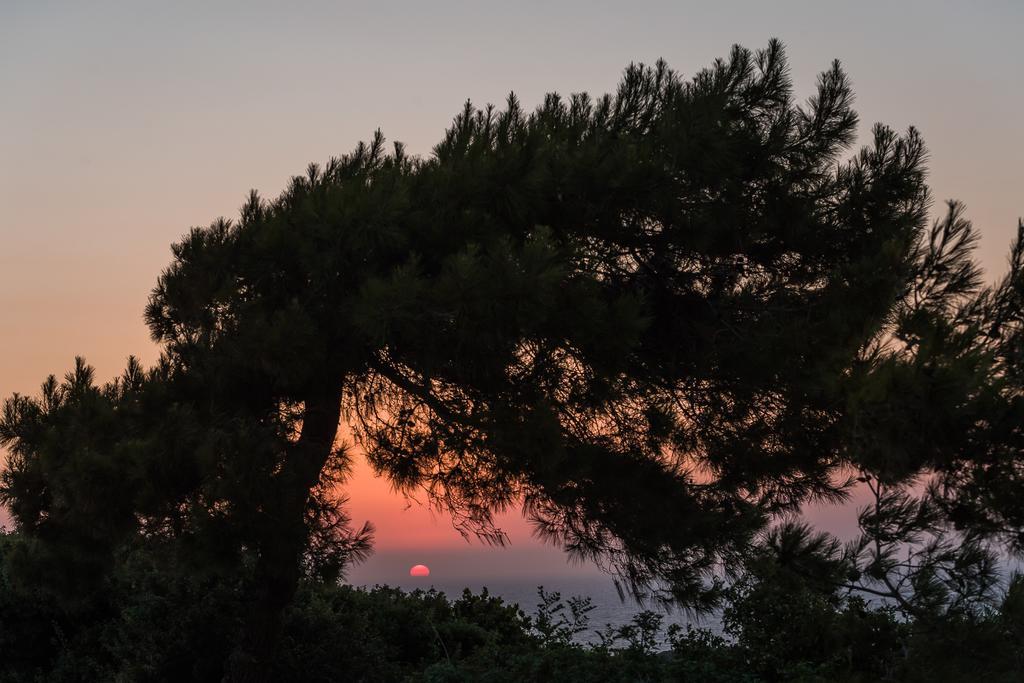 Villa Russelia Kalavarda Bagian luar foto